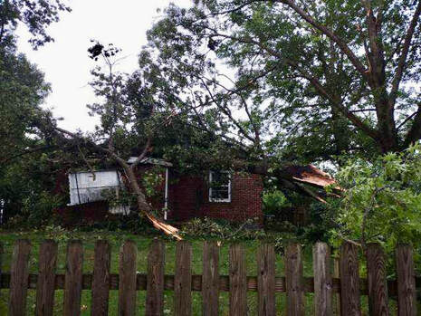 Picture of Tree that fell on house needing emergency tree removal services